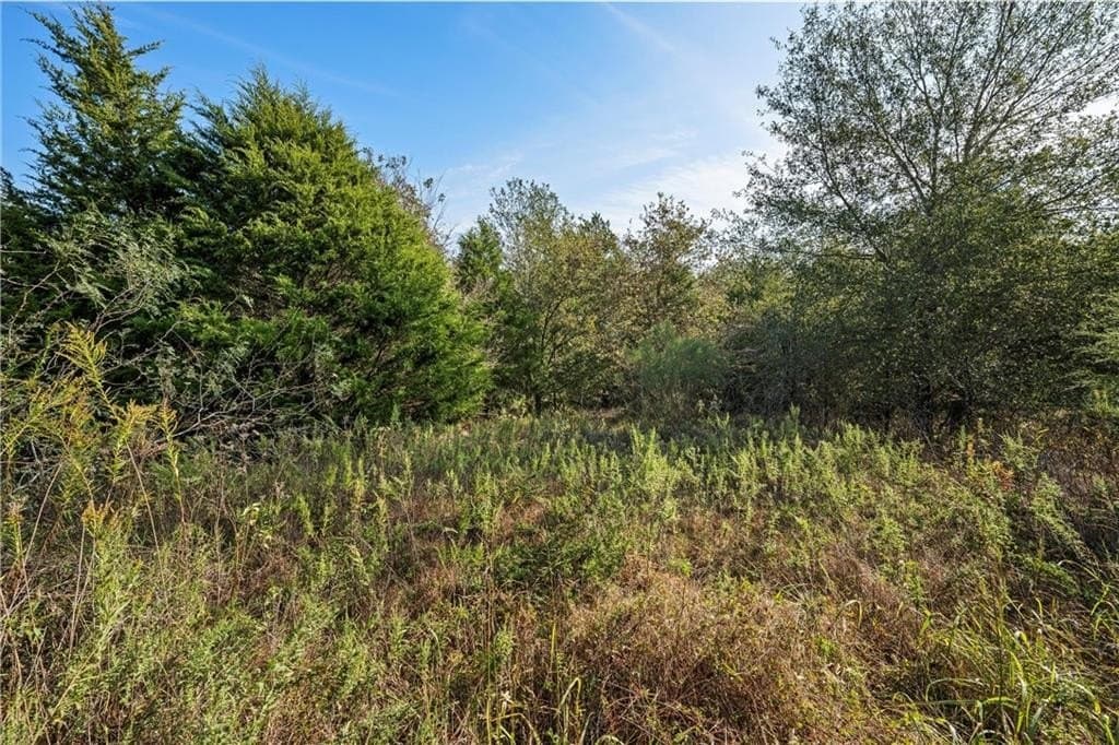 11.71 acres in Freestone County - photo 5