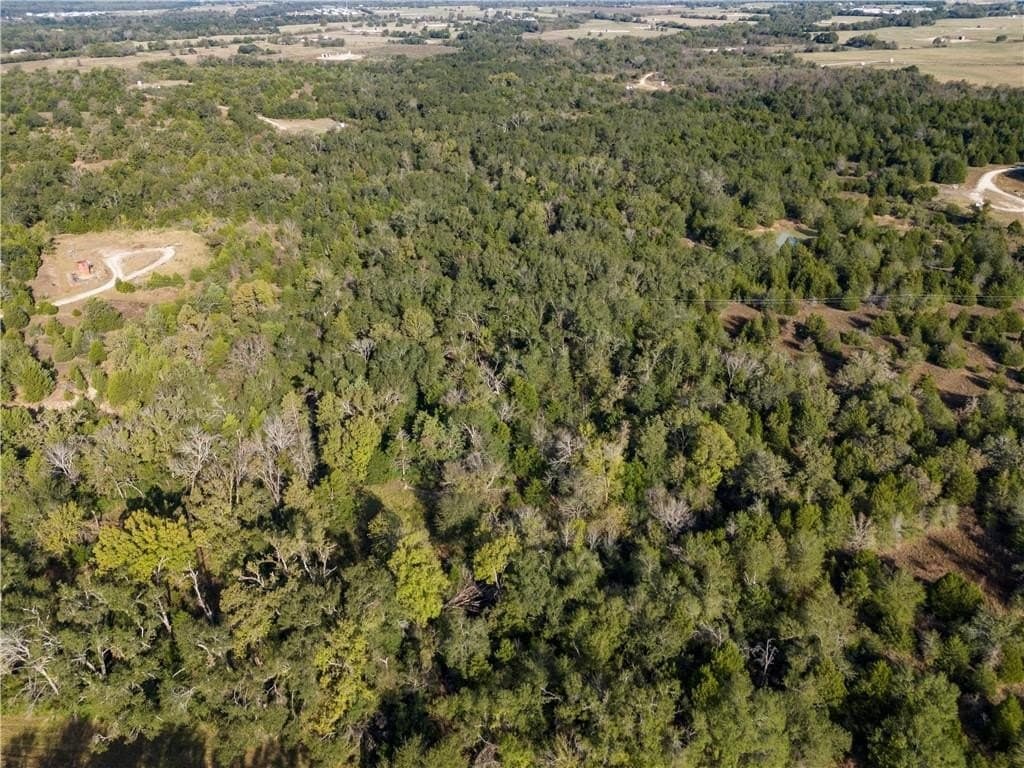 11.71 acres in Freestone County - photo 3