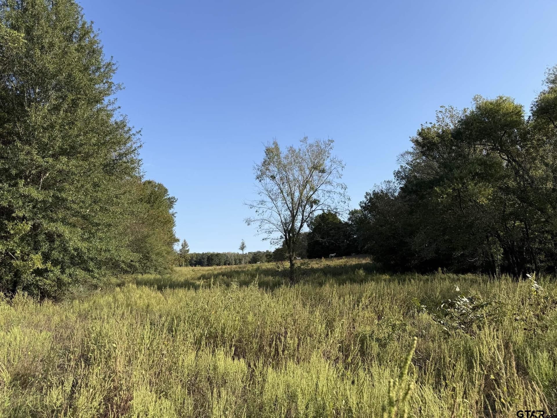21.09 acres in Van Zandt County - photo 5
