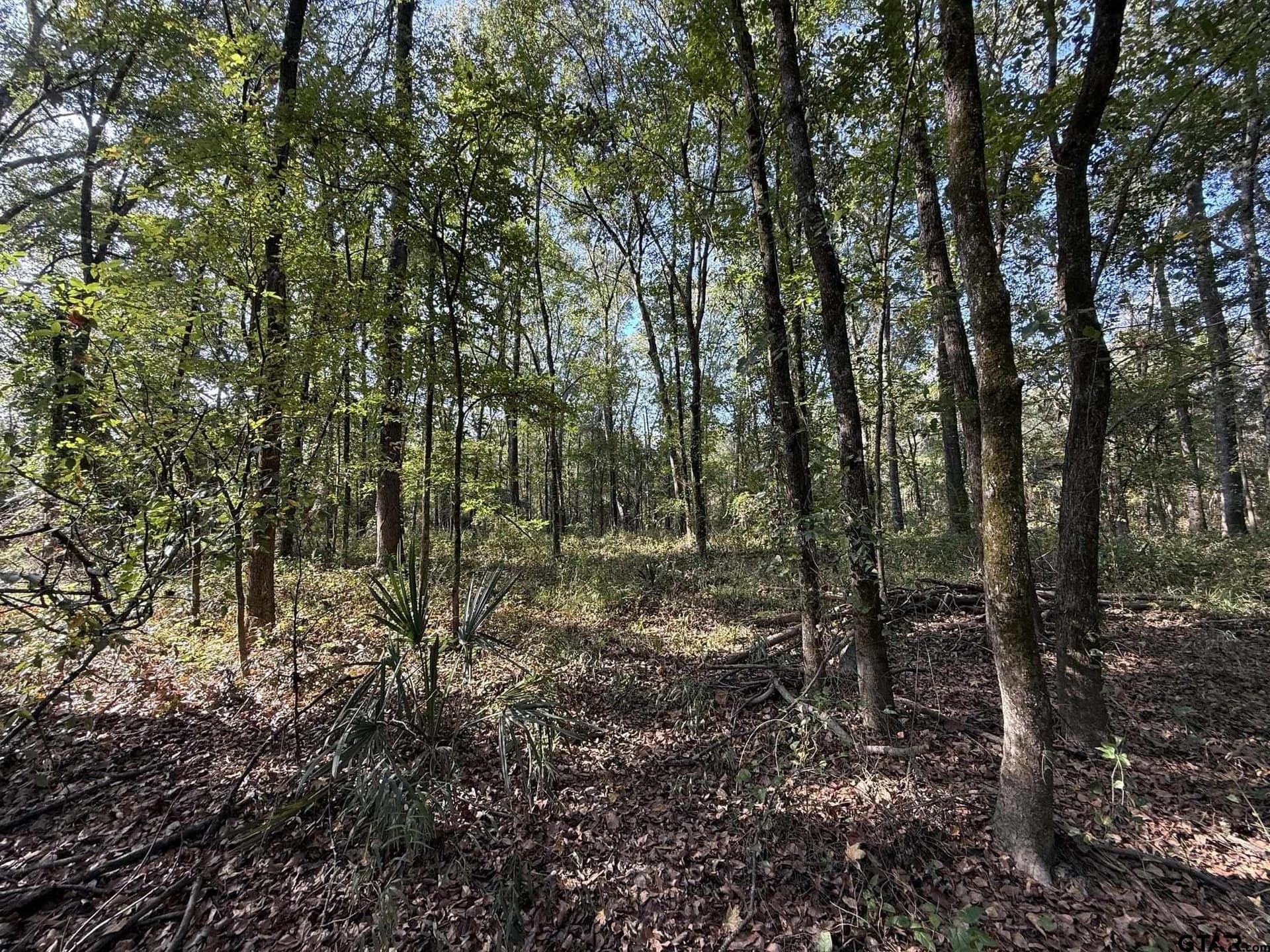 21.09 acres in Van Zandt County - photo 22