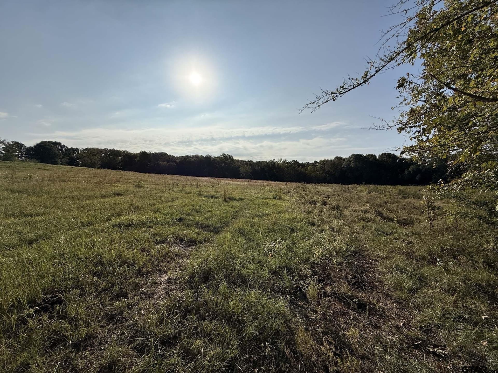 21.09 acres in Van Zandt County - photo 8