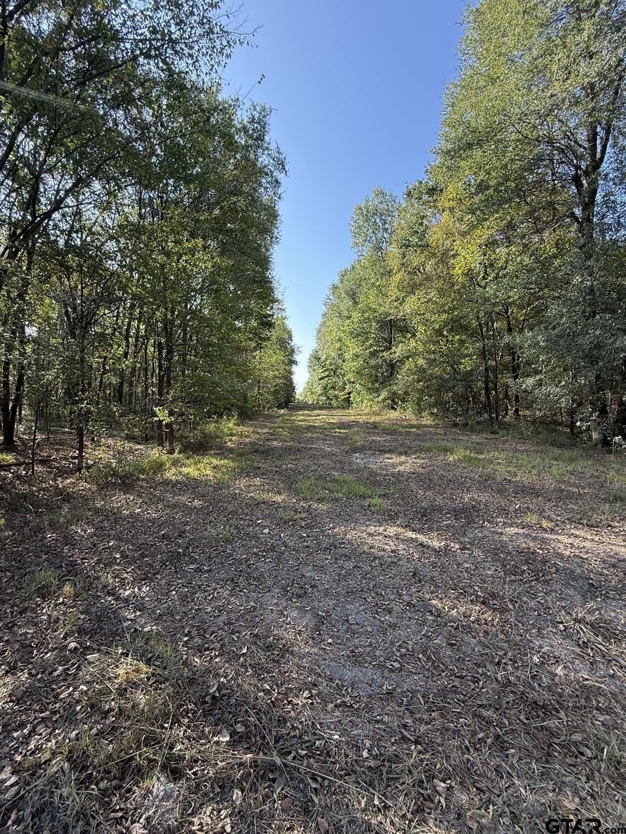 21.09 acres in Van Zandt County - photo 19