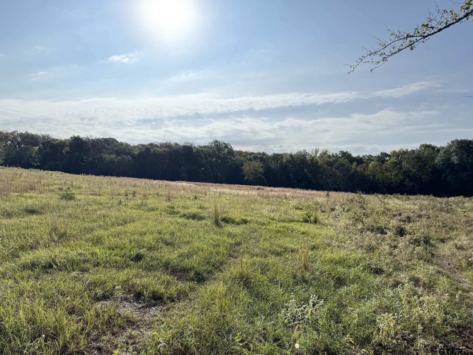 21.09 acres in Van Zandt County - photo 7