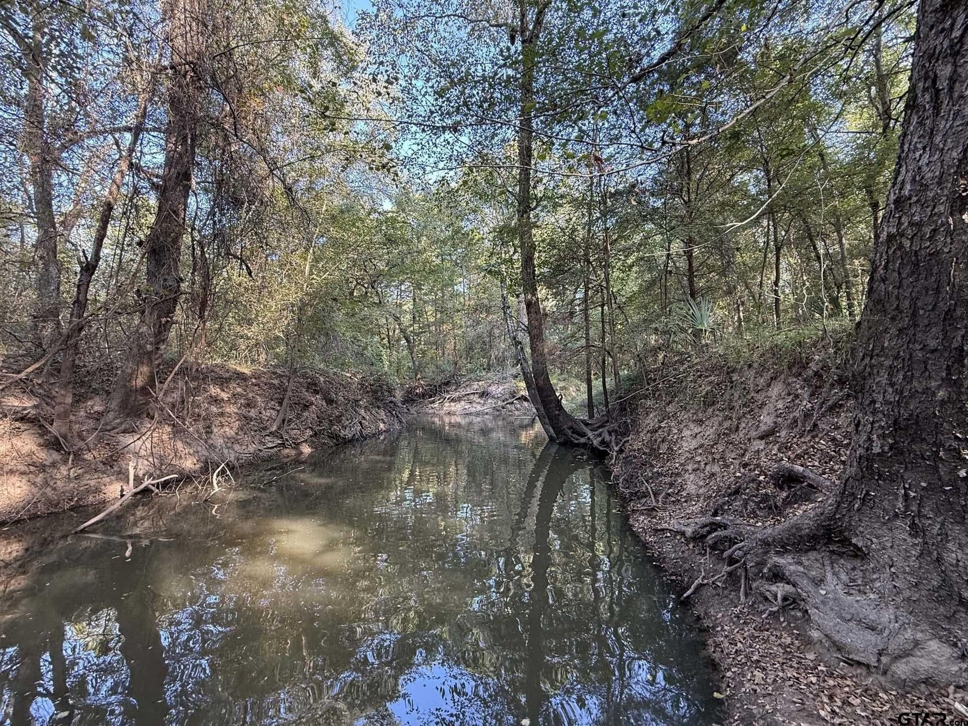 21.09 acres in Van Zandt County - photo 12