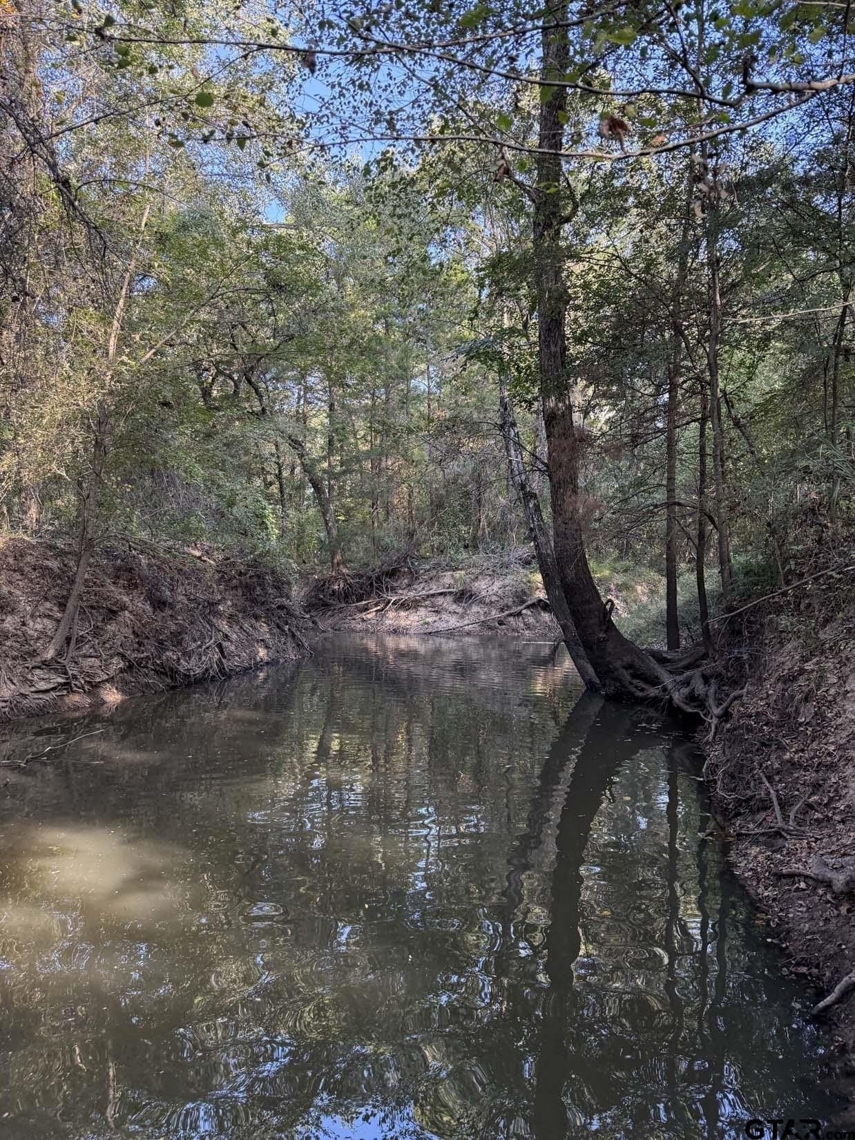 21.09 acres in Van Zandt County - photo 10