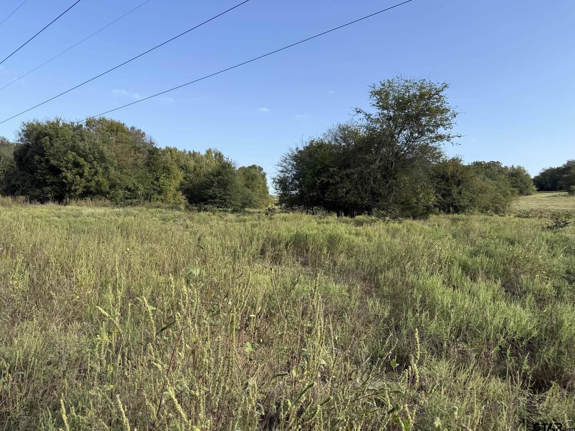 21.09 acres in Van Zandt County - photo 4