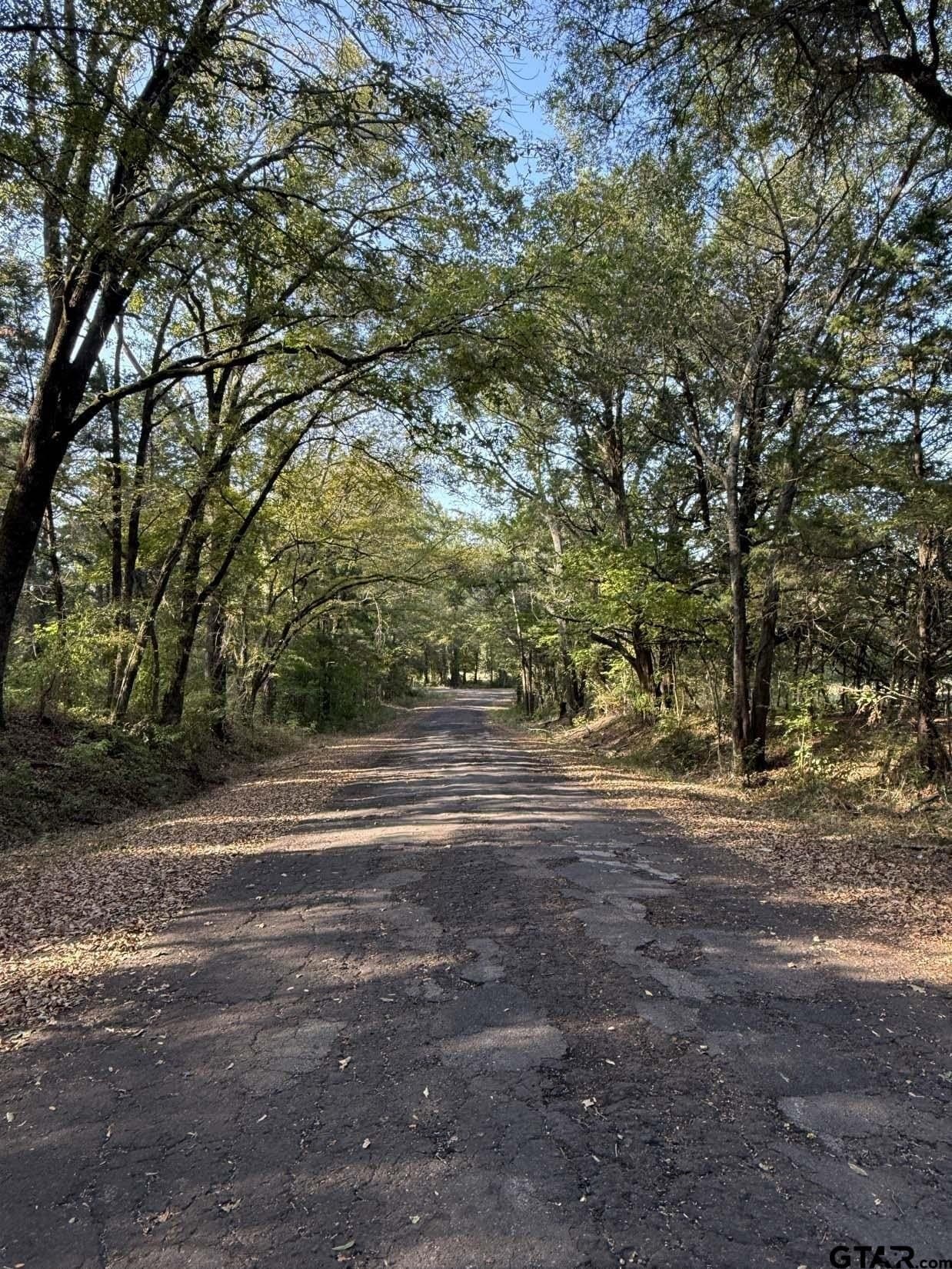 21.09 acres in Van Zandt County - photo 15