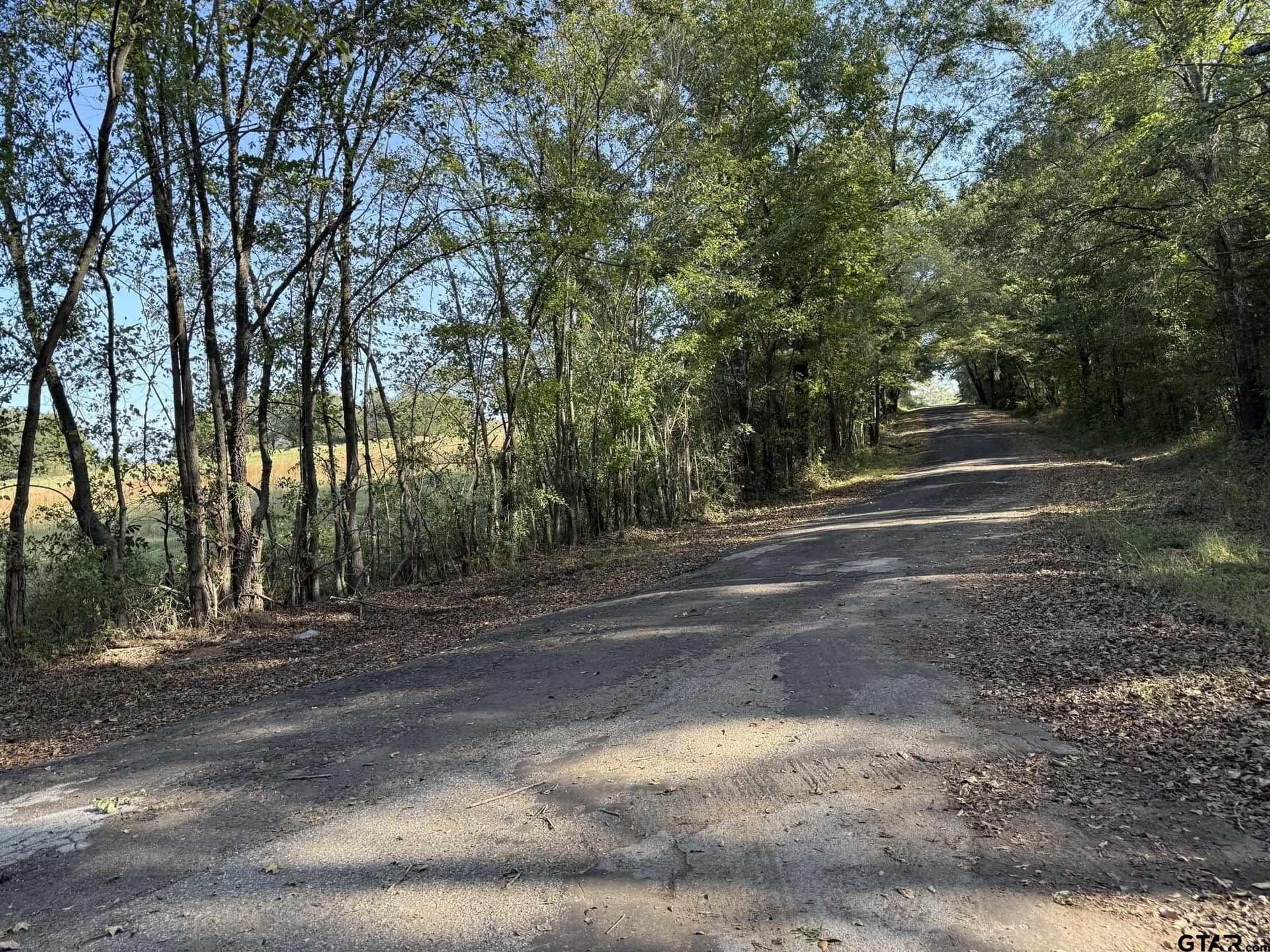21.09 acres in Van Zandt County - photo 16