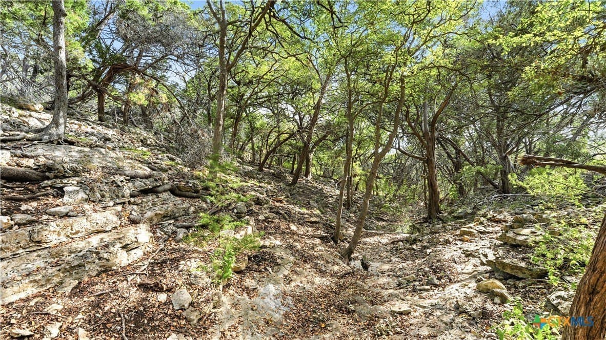 1.02 acres in Comal County - photo 13