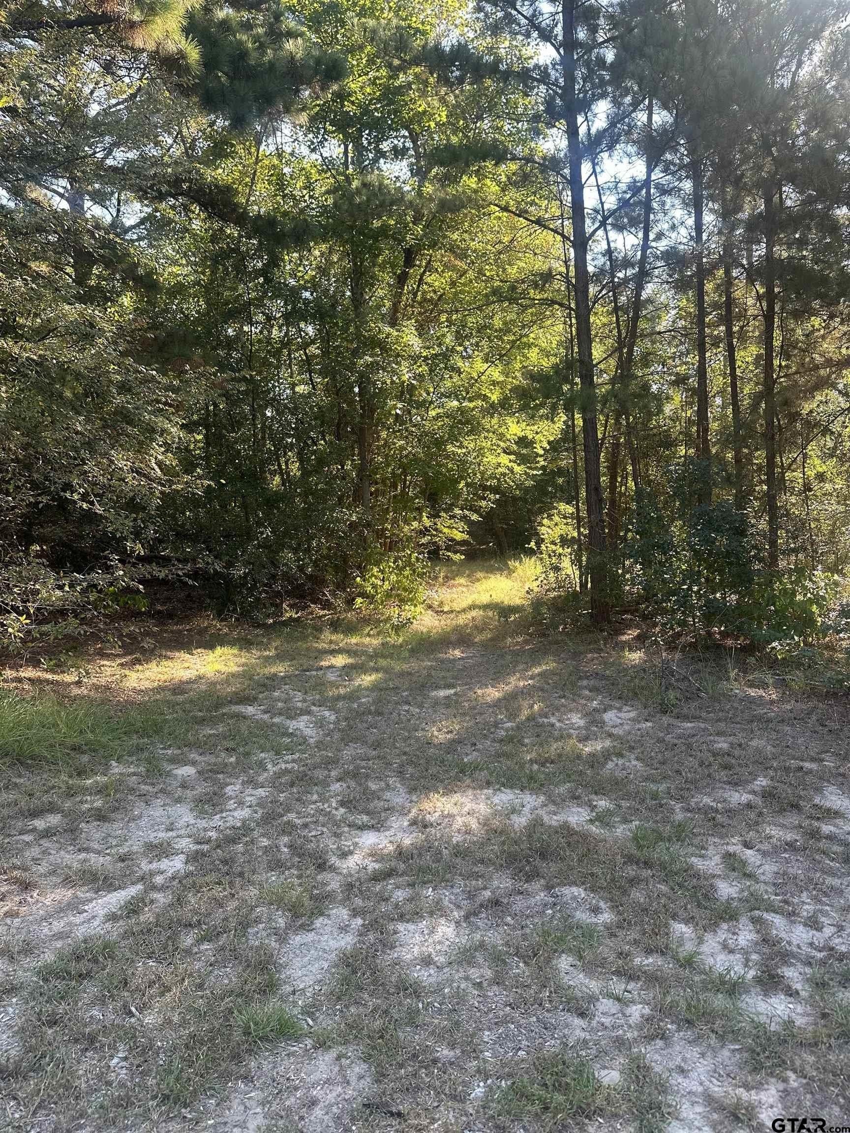 15 acres in Smith County - photo 26