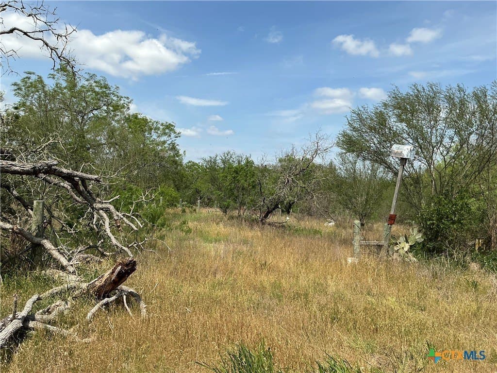 13.02 acres in Gonzales County - photo 4