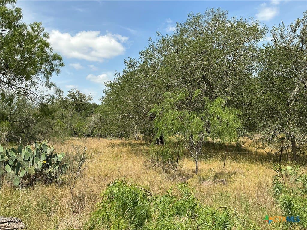 13.02 acres in Gonzales County - photo 5