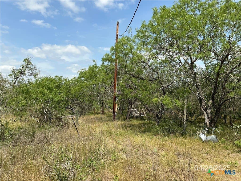 13.02 acres in Gonzales County - photo 2