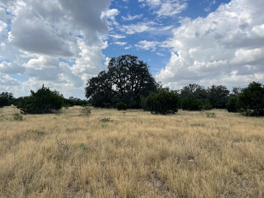 200 acres in Schleicher County - photo 2