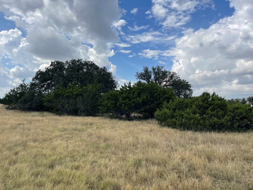 200 acres in Schleicher County - photo 3