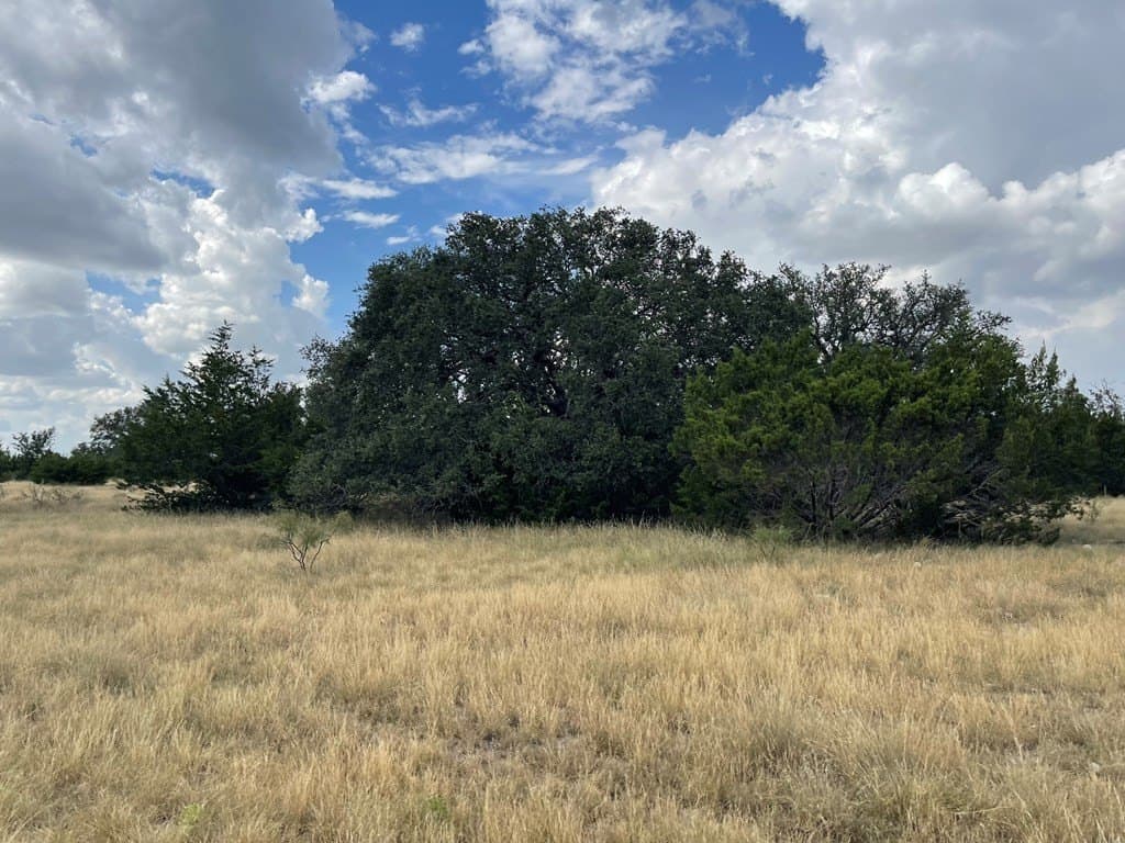 200 acres in Schleicher County - photo 4
