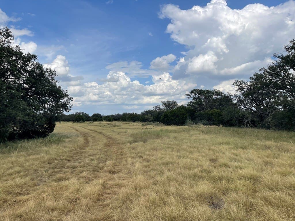 200 acres in Schleicher County - photo 5