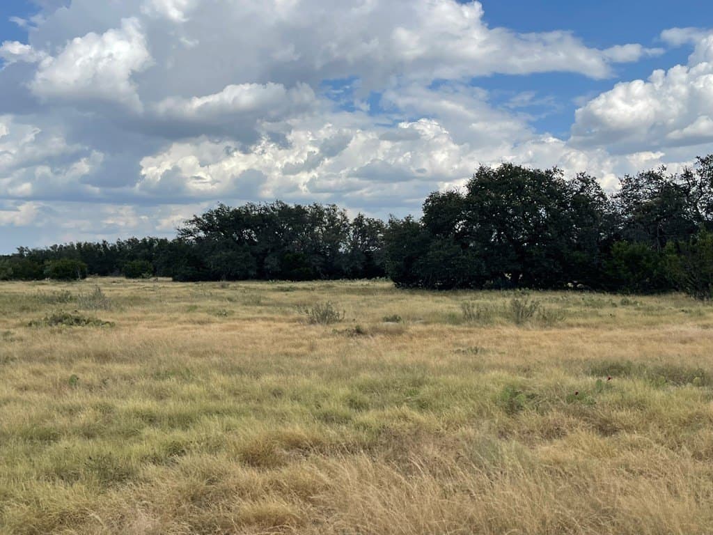 200 acres in Schleicher County - photo 7