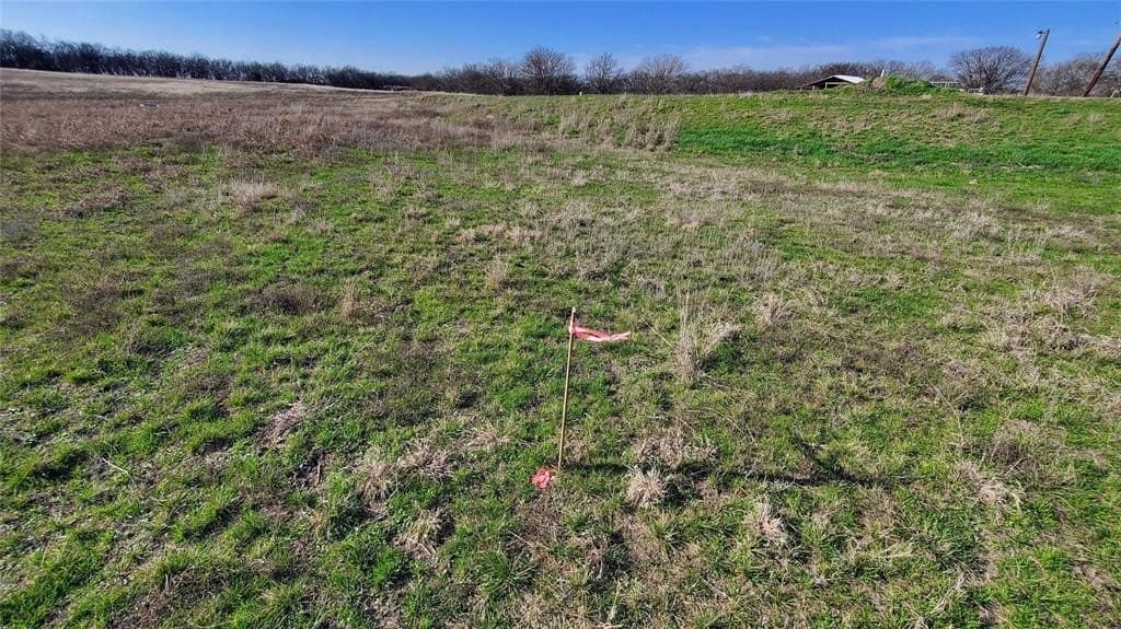 13.97 acres in Navarro County - photo 17