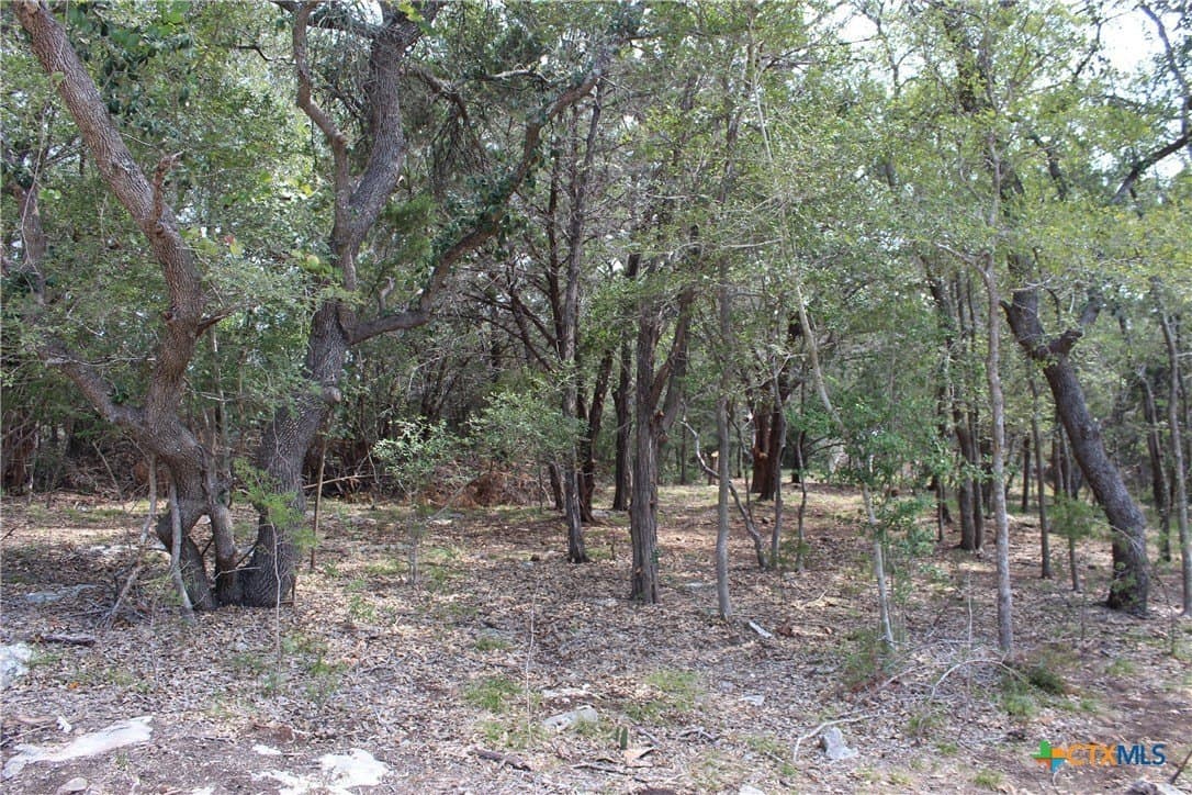 5.05 acres in Comal County - photo 3