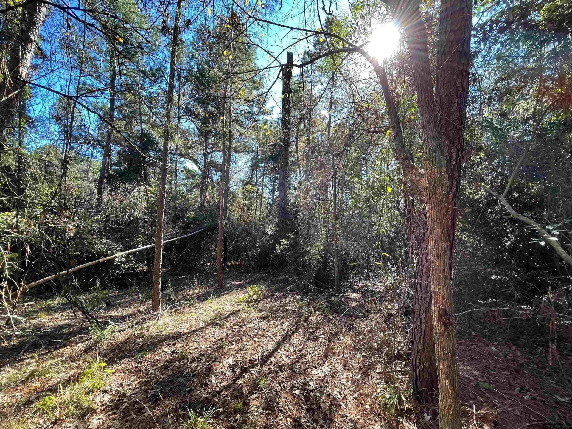 0.61 acres in Wood County - photo 9