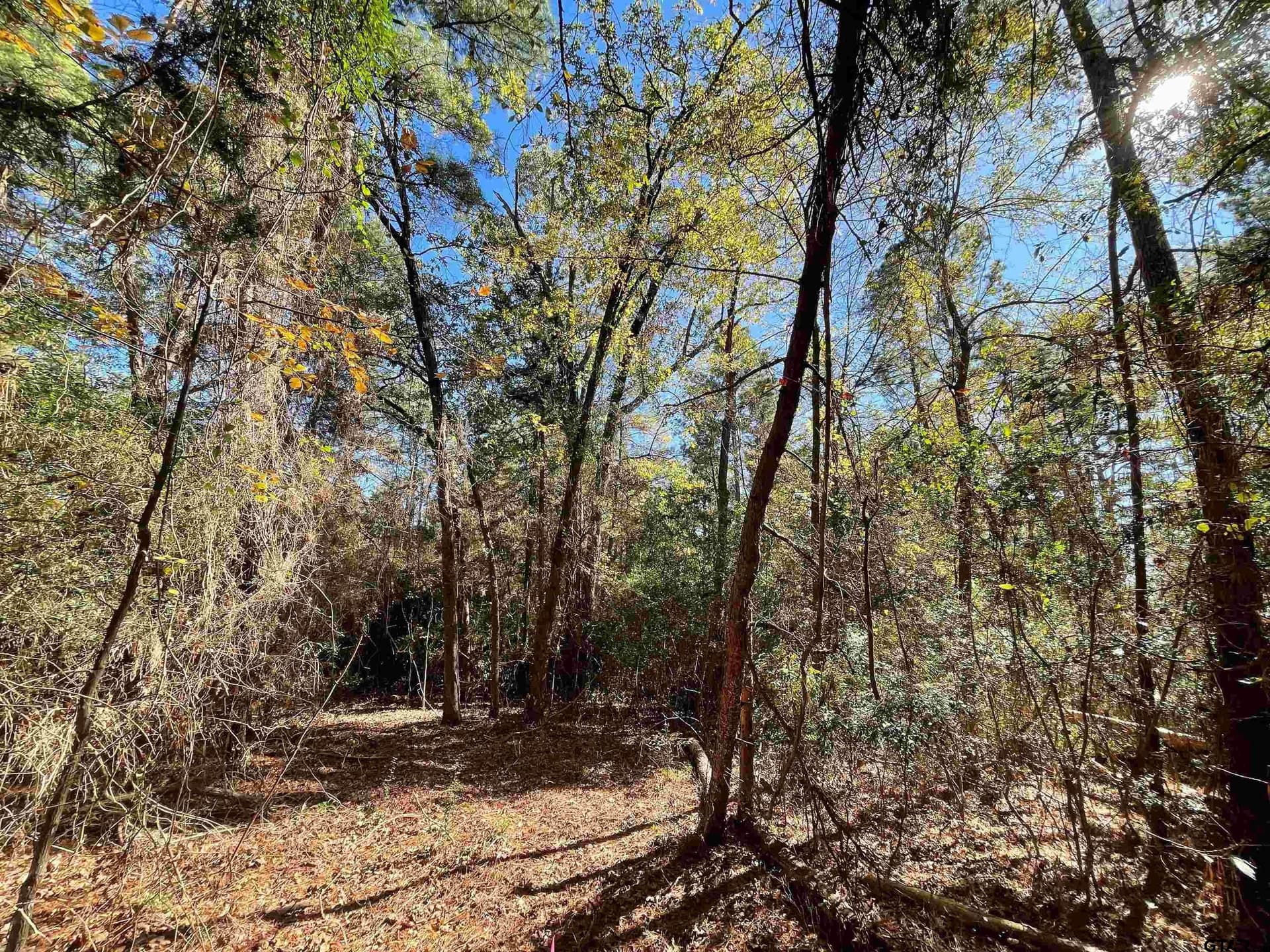 0.61 acres in Wood County - photo 6