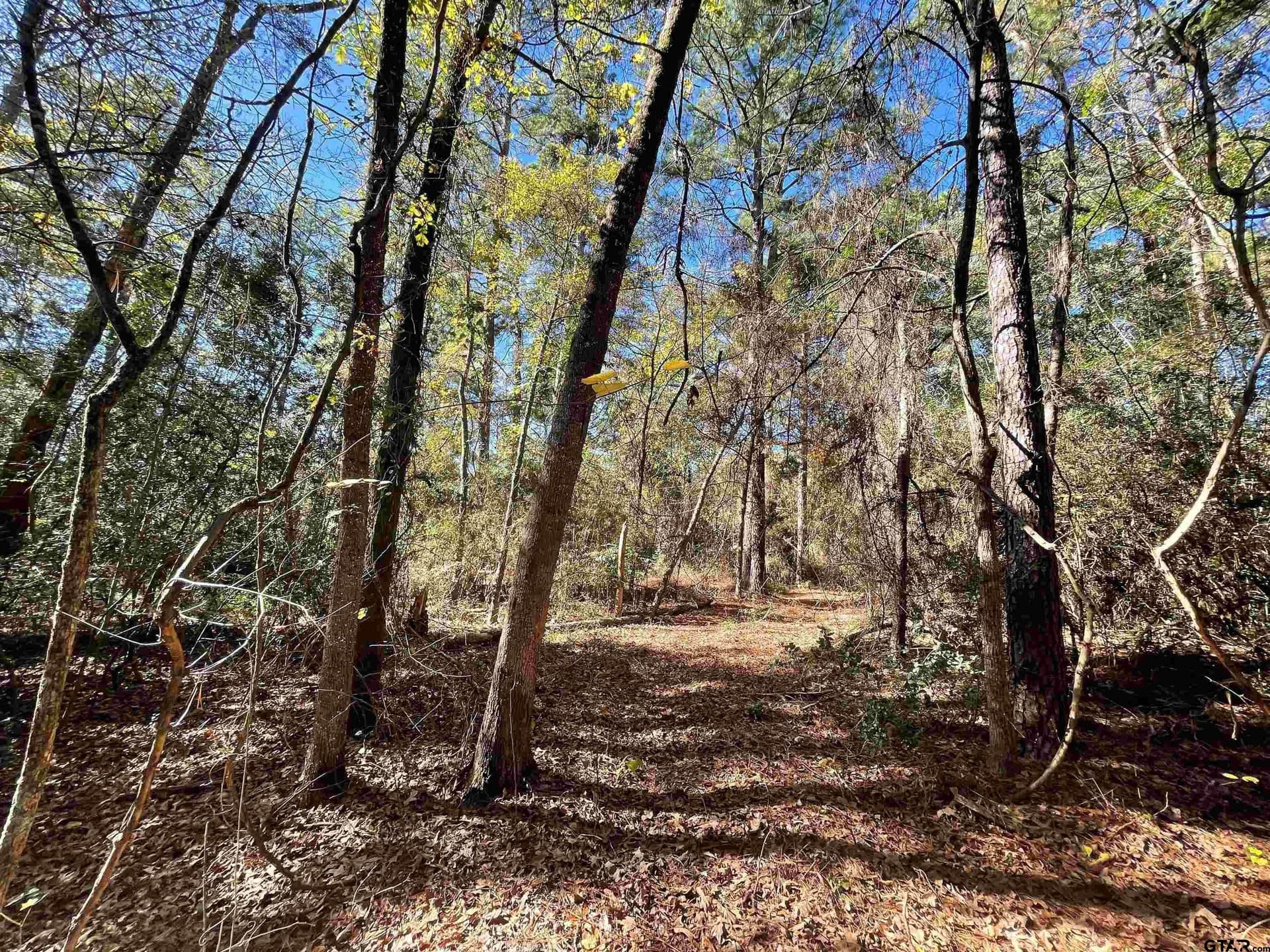 0.61 acres in Wood County - photo 7