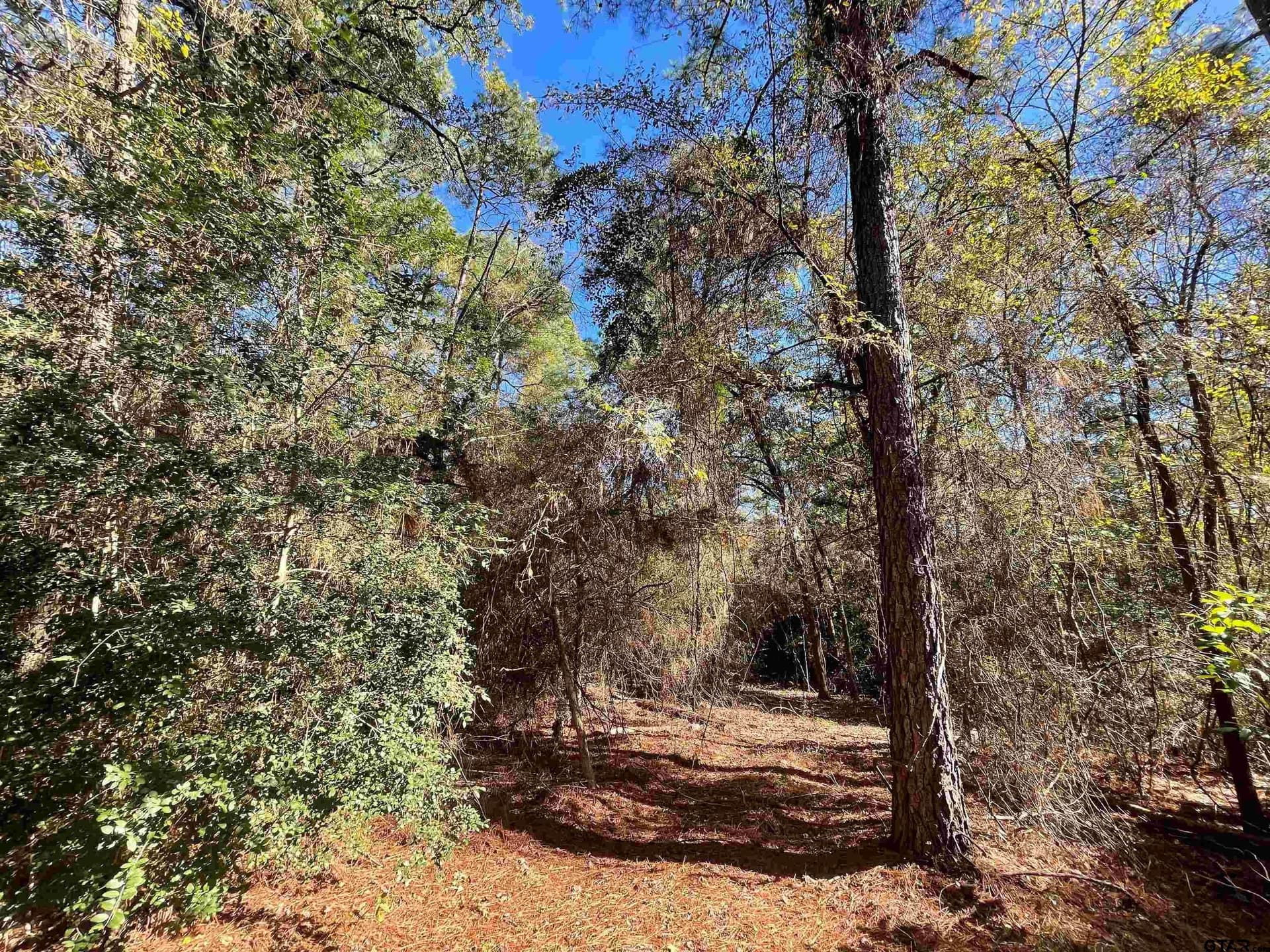0.61 acres in Wood County - photo 5