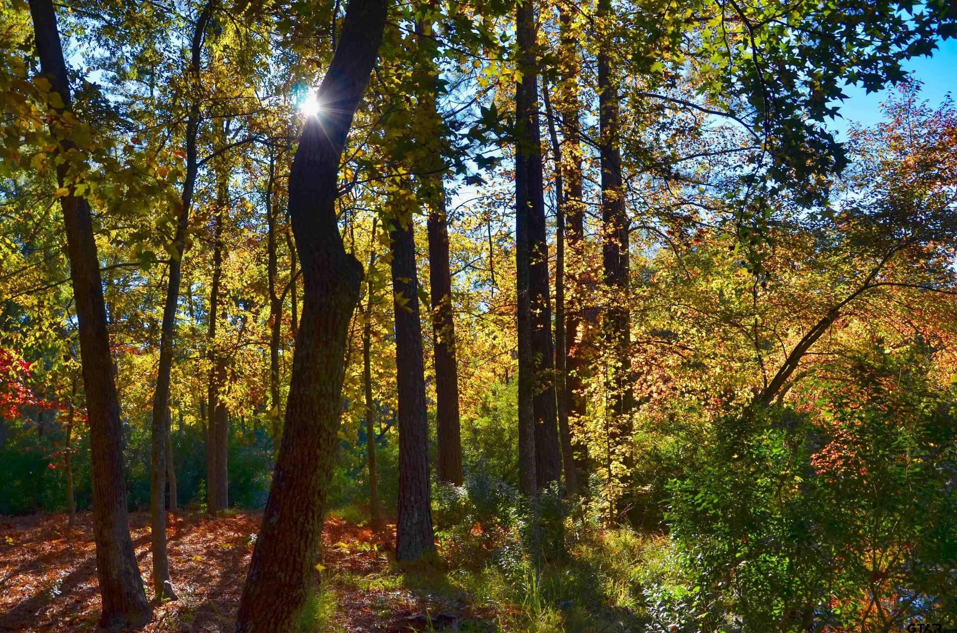 0.61 acres in Wood County - photo 16
