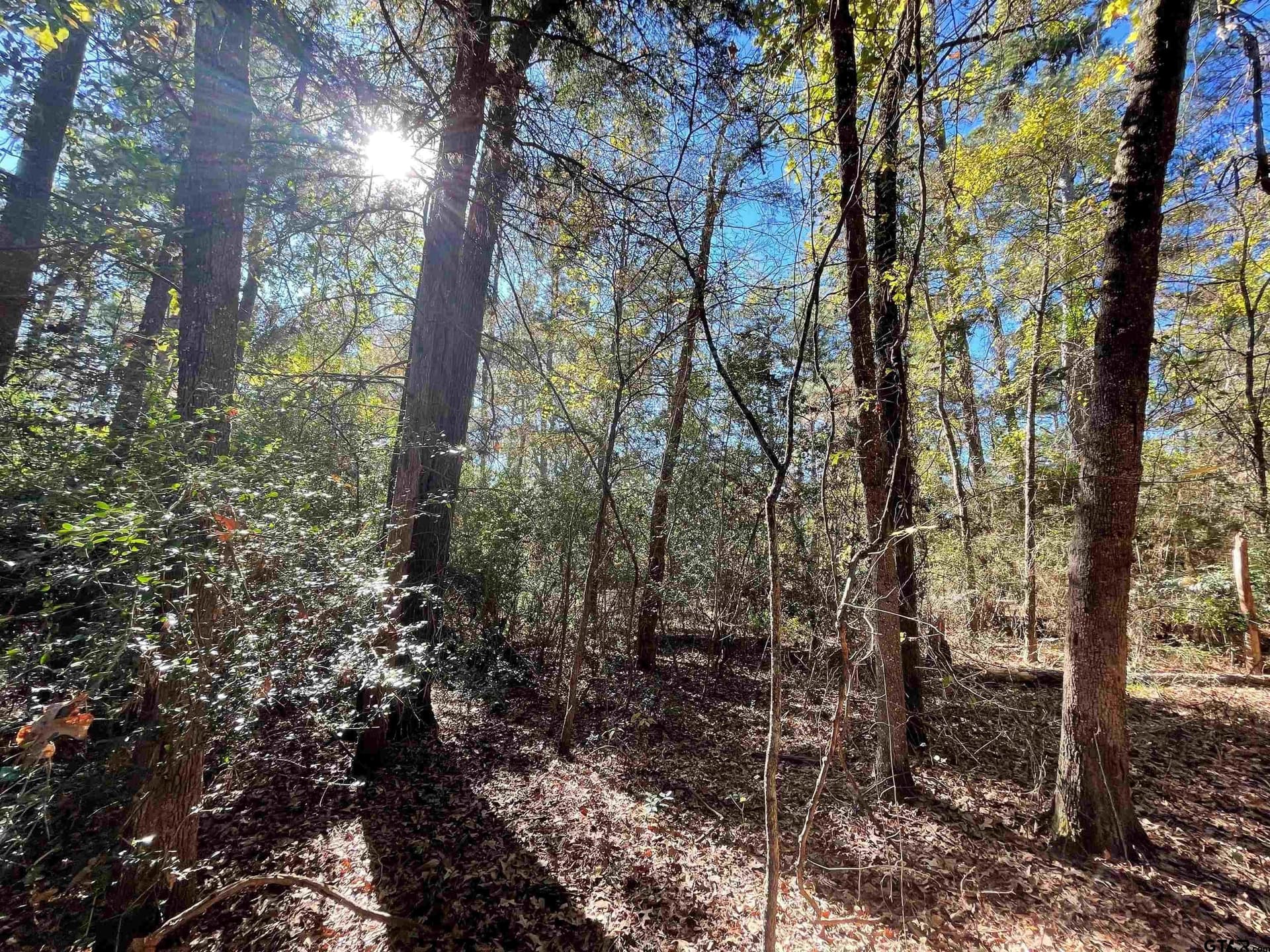 0.61 acres in Wood County - photo 10