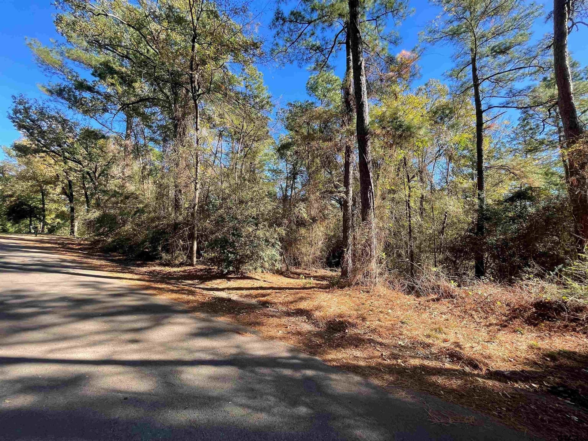 0.61 acres in Wood County - photo 8