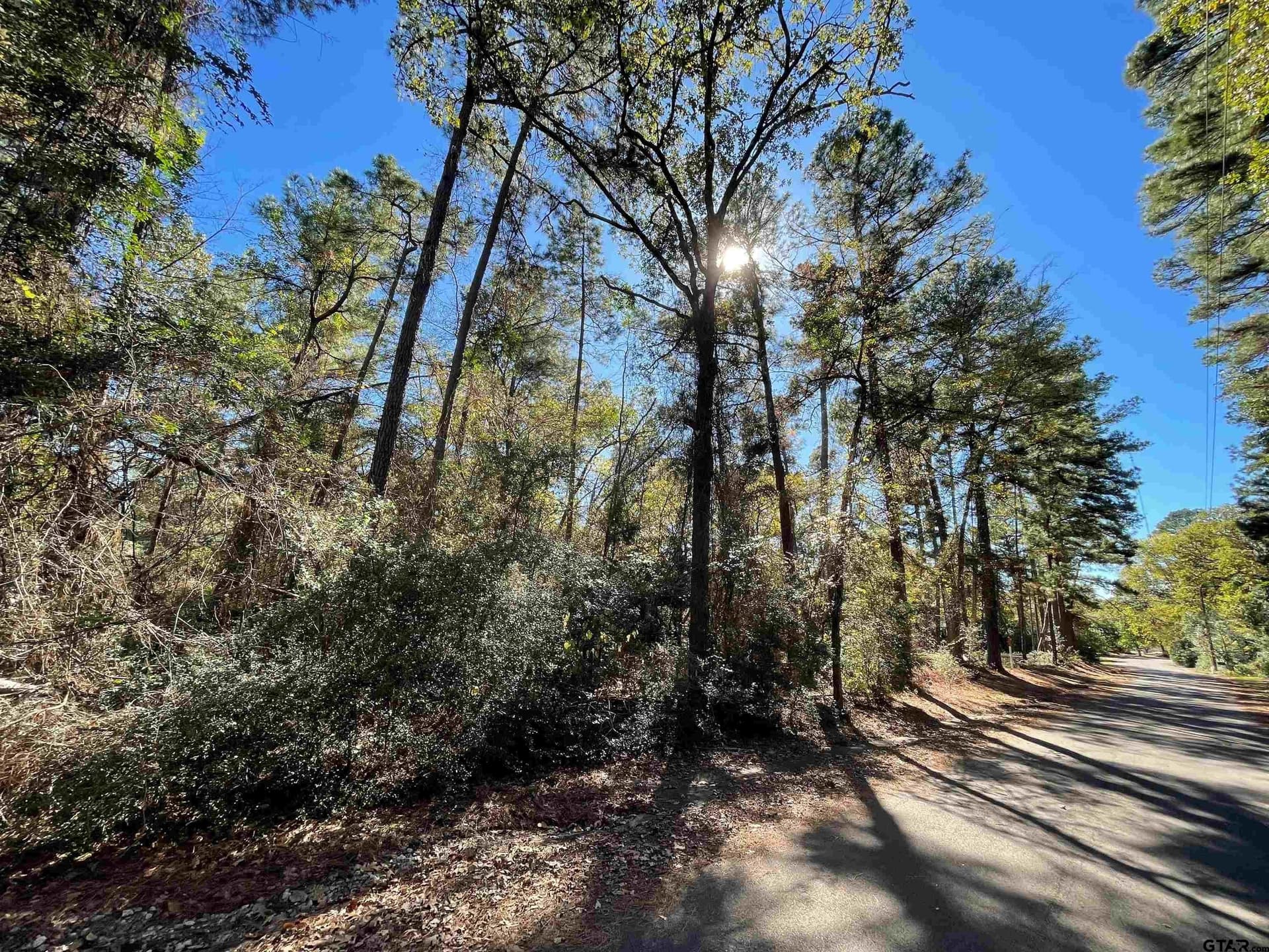 0.61 acres in Wood County - photo 2