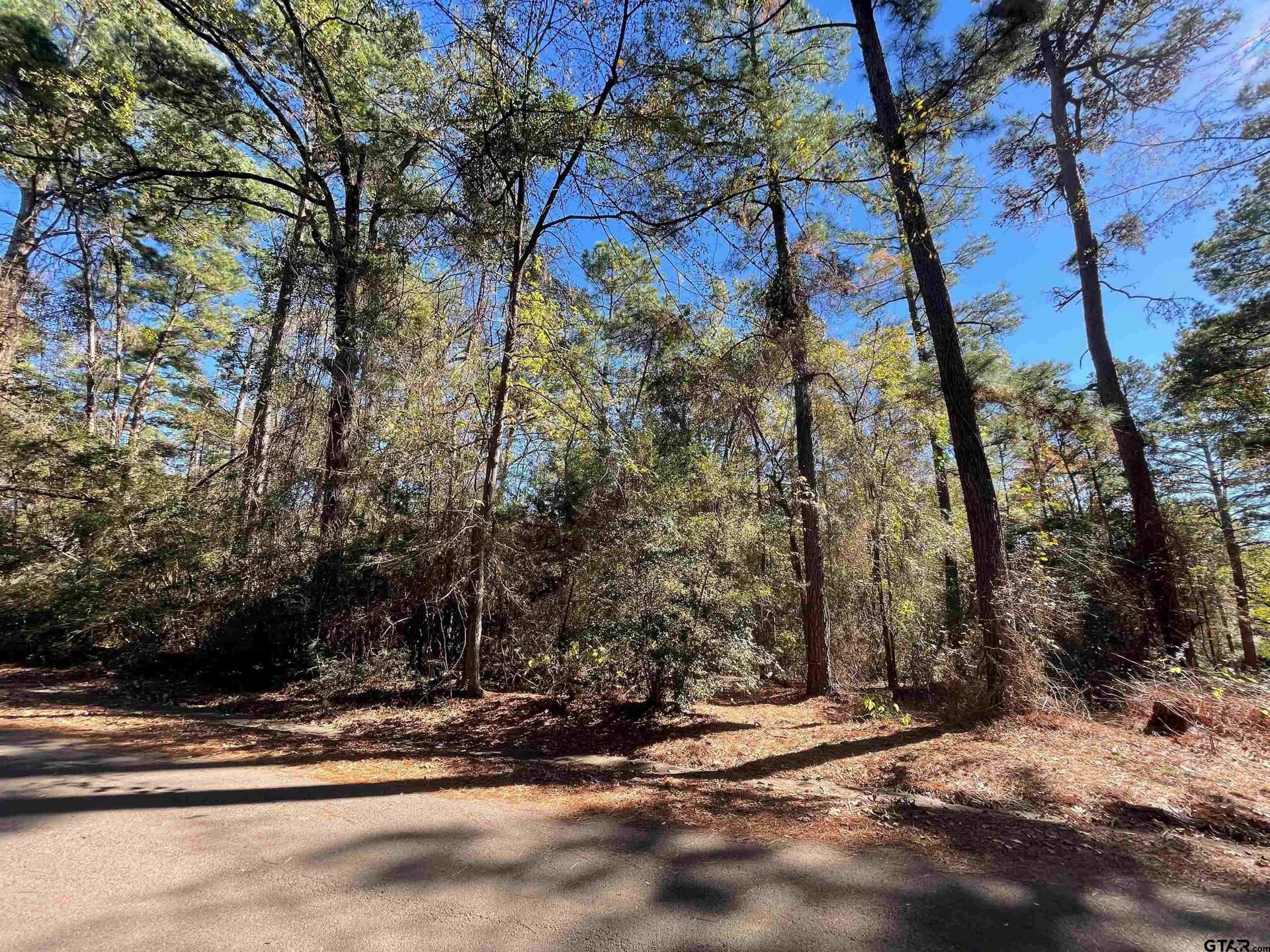 0.61 acres in Wood County - photo 4