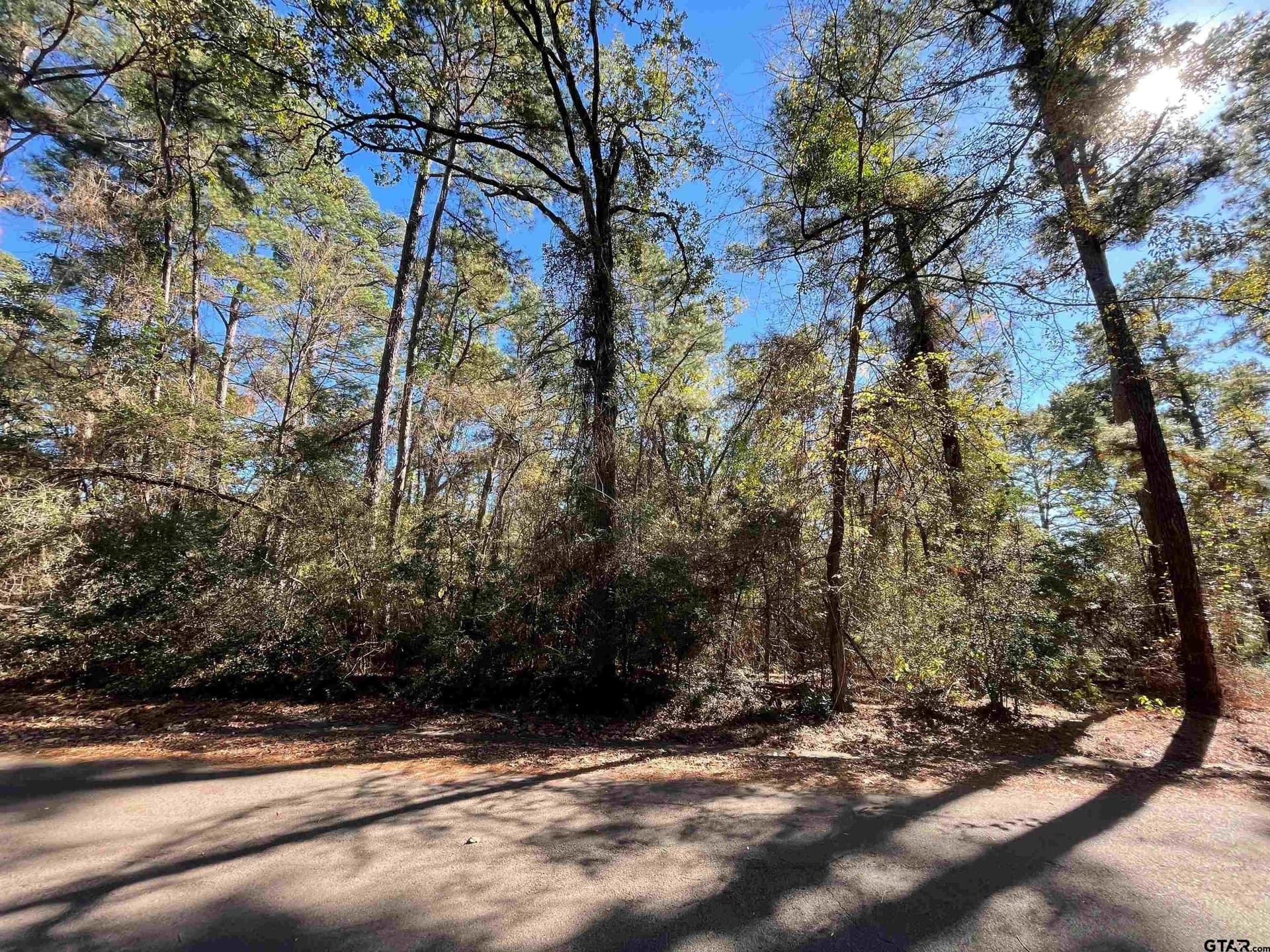 0.61 acres in Wood County - photo 3