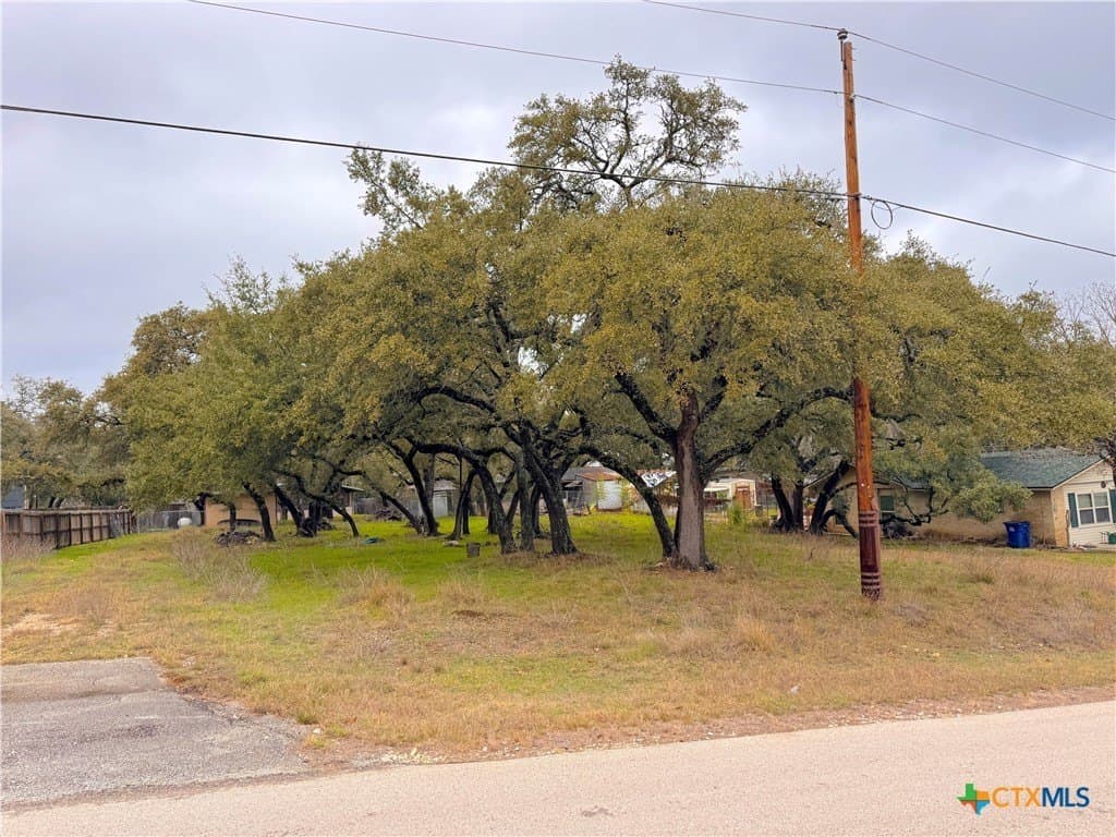 0.23 acres in Comal County - photo 8
