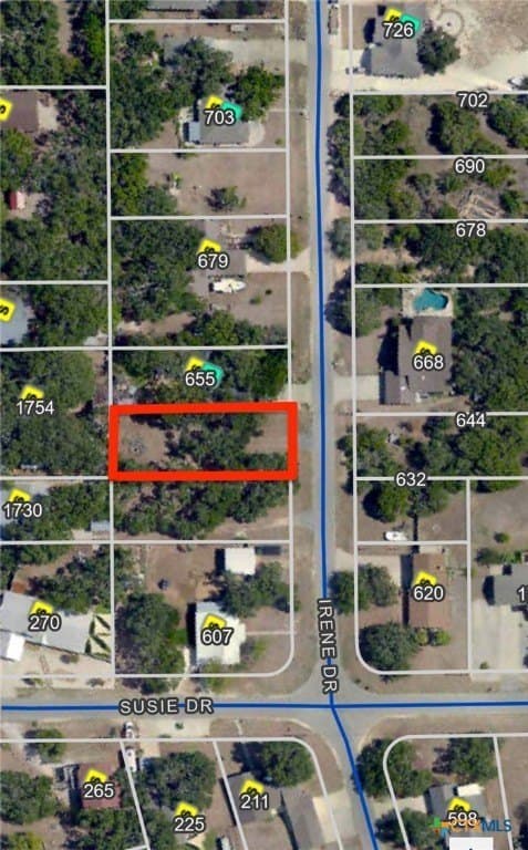 0.23 acres in Comal County - photo 9
