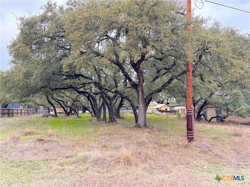 0.23 acres in Comal County - photo 10