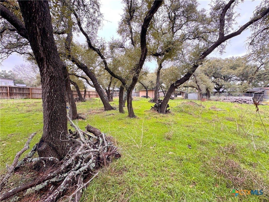 0.23 acres in Comal County - photo 5