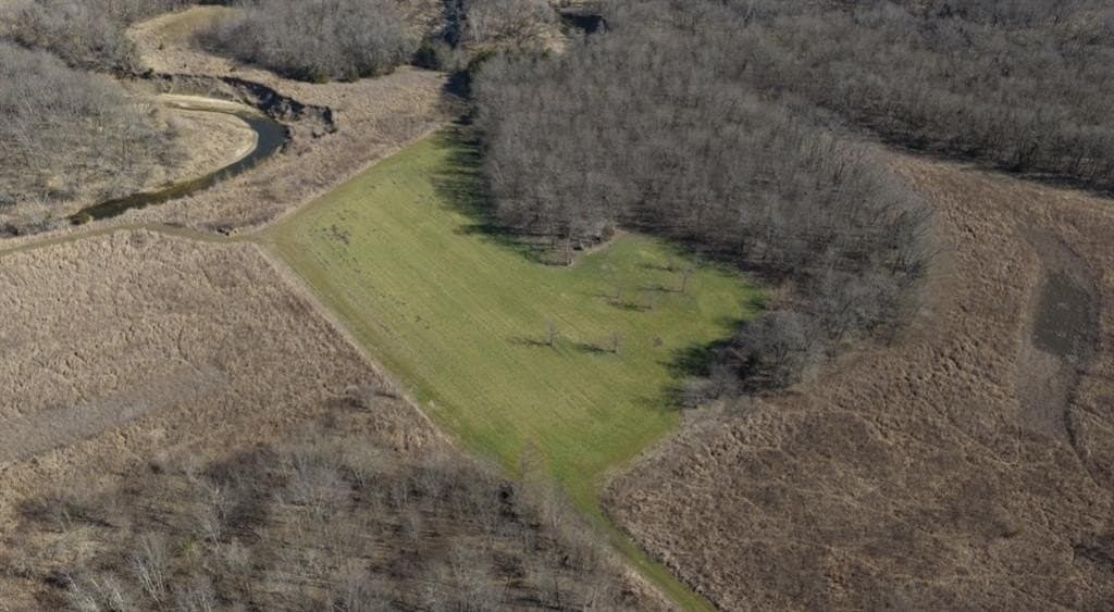 79.66 acres in Lamar County - photo 2