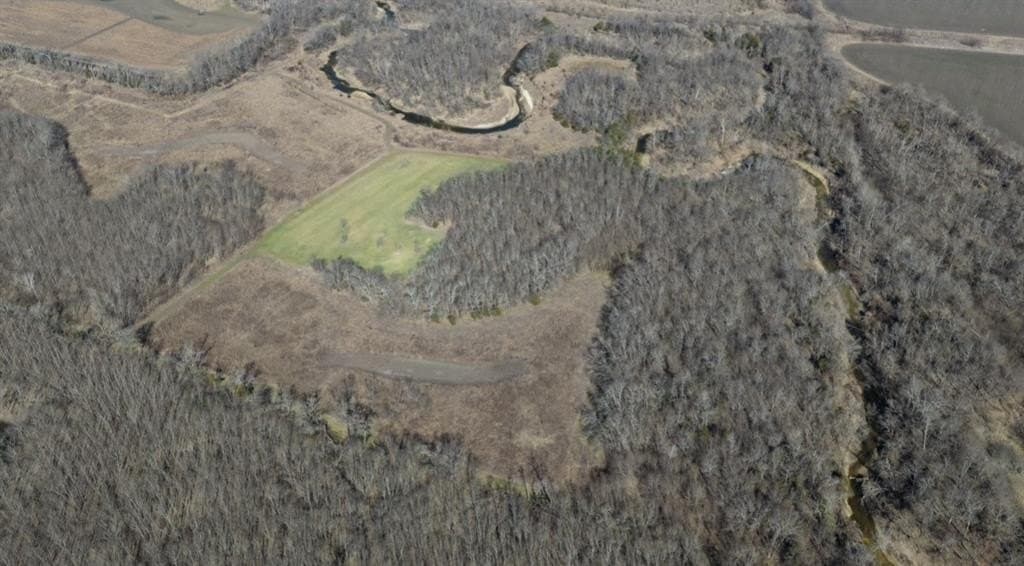 79.66 acres in Lamar County - photo 3
