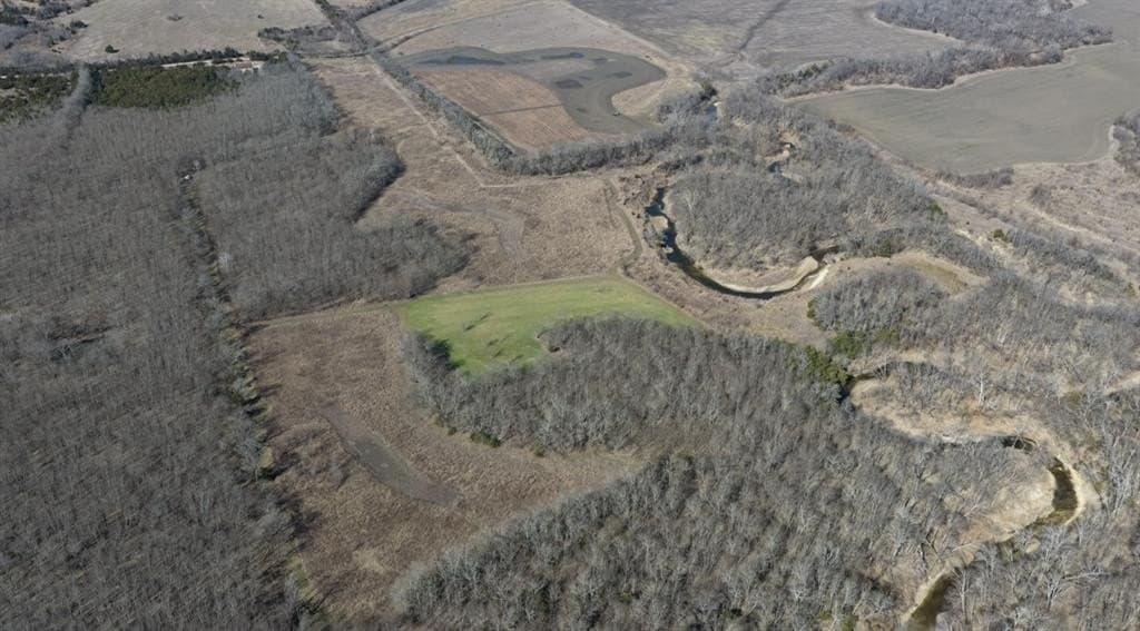 79.66 acres in Lamar County - photo 4
