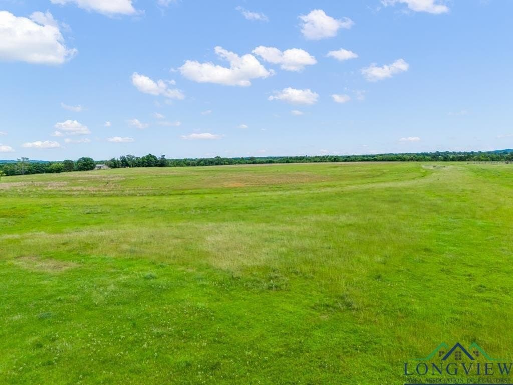 30 acres in Upshur County - photo 5