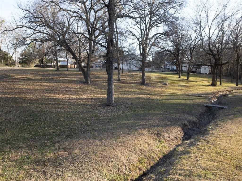 0.21 acres in Rains County - photo 9