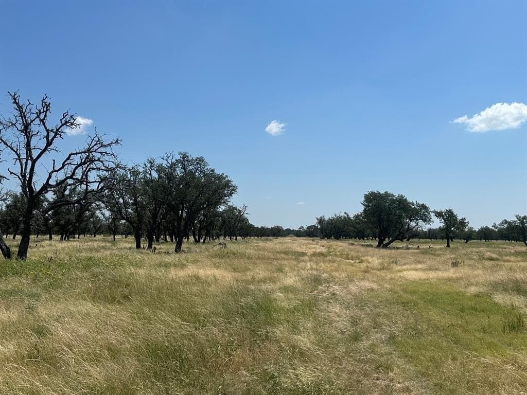 1,157.44 acres in Sutton County - photo 9