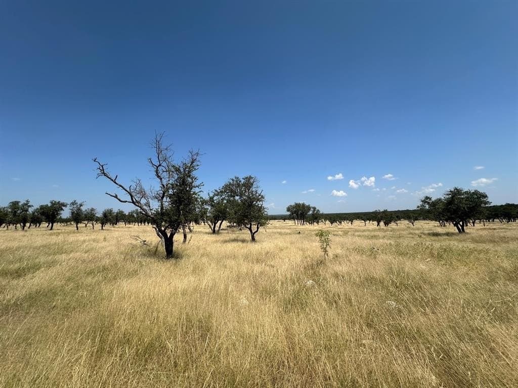 1,157.44 acres in Sutton County - photo 12