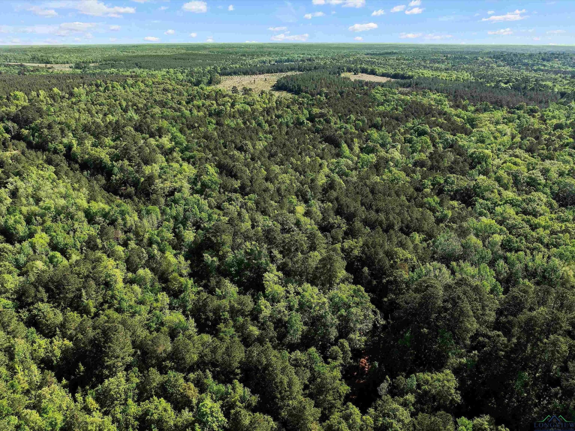 19.94 acres in Marion County - photo 10