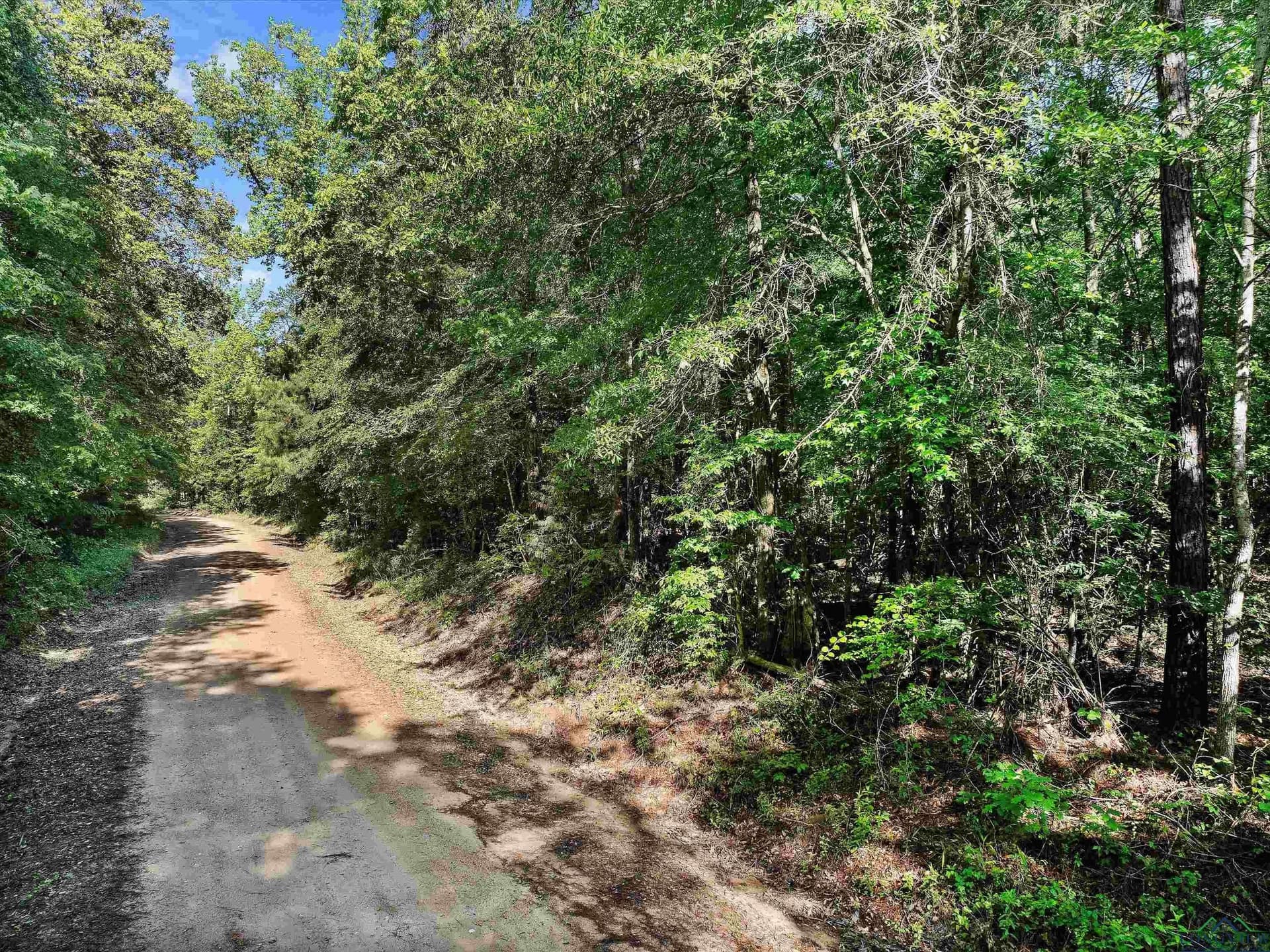 19.94 acres in Marion County - photo 6
