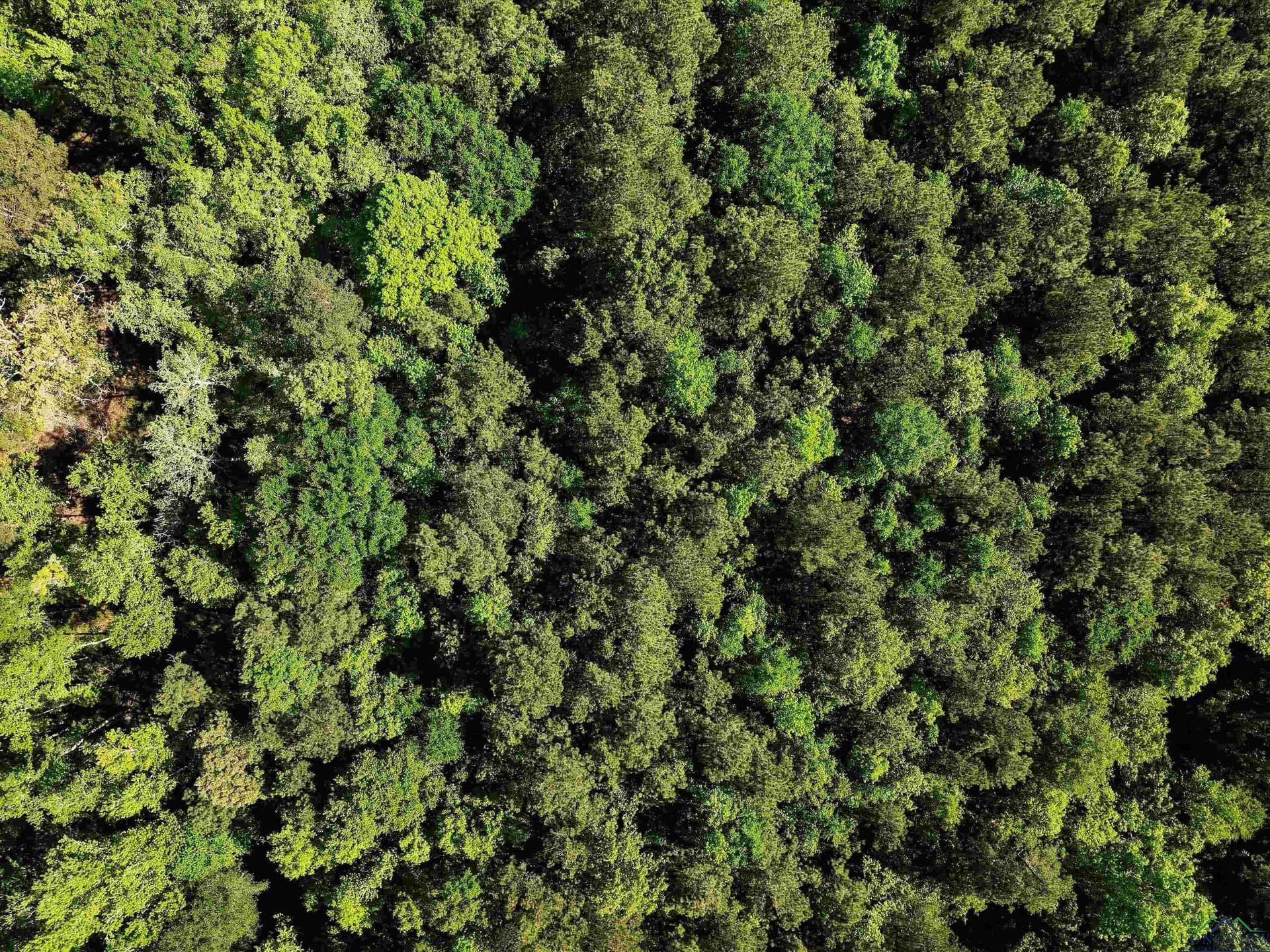 19.94 acres in Marion County - photo 12