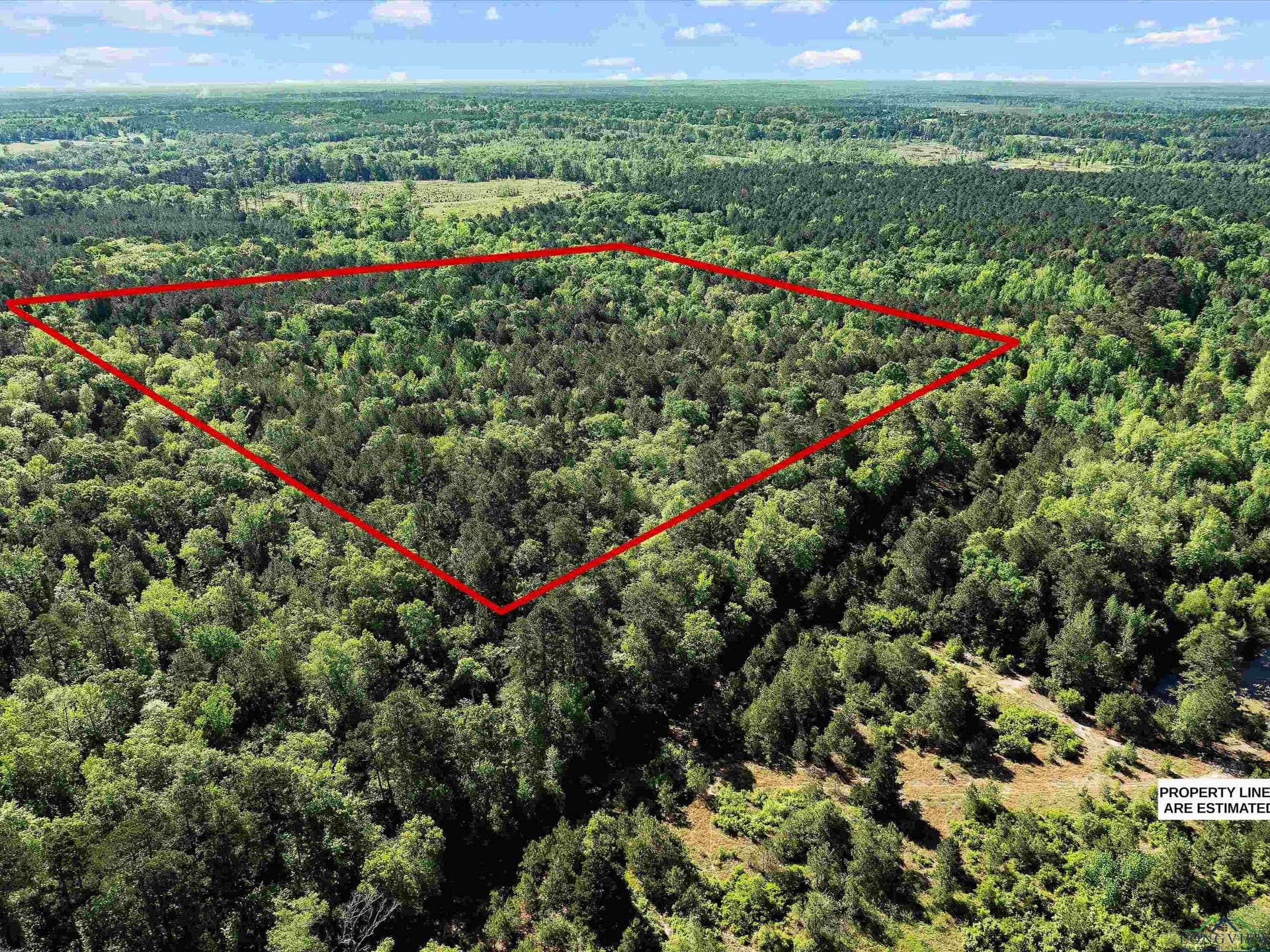 19.94 acres in Marion County - photo 2
