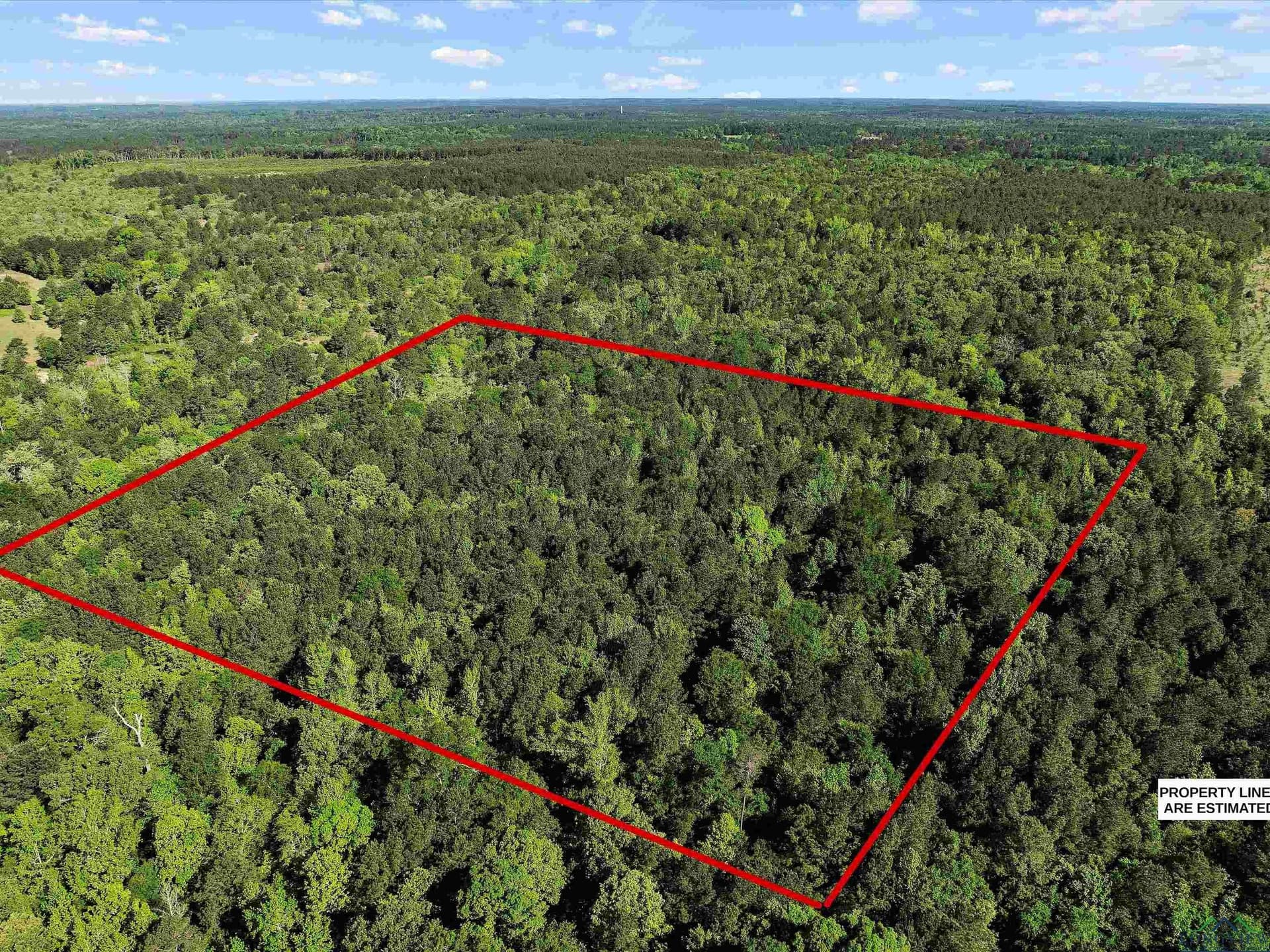 19.94 acres in Marion County - photo 7